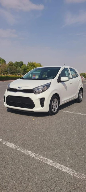 2019 Kia Picanto