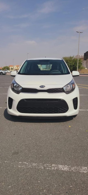 2019 Kia Picanto