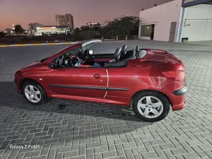 2003 Peugeot 206