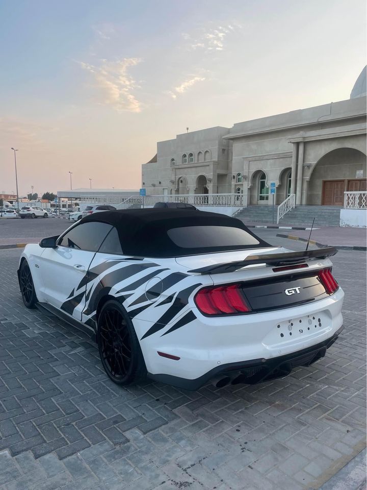 2019 Ford Mustang