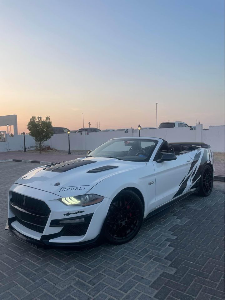 2019 Ford Mustang