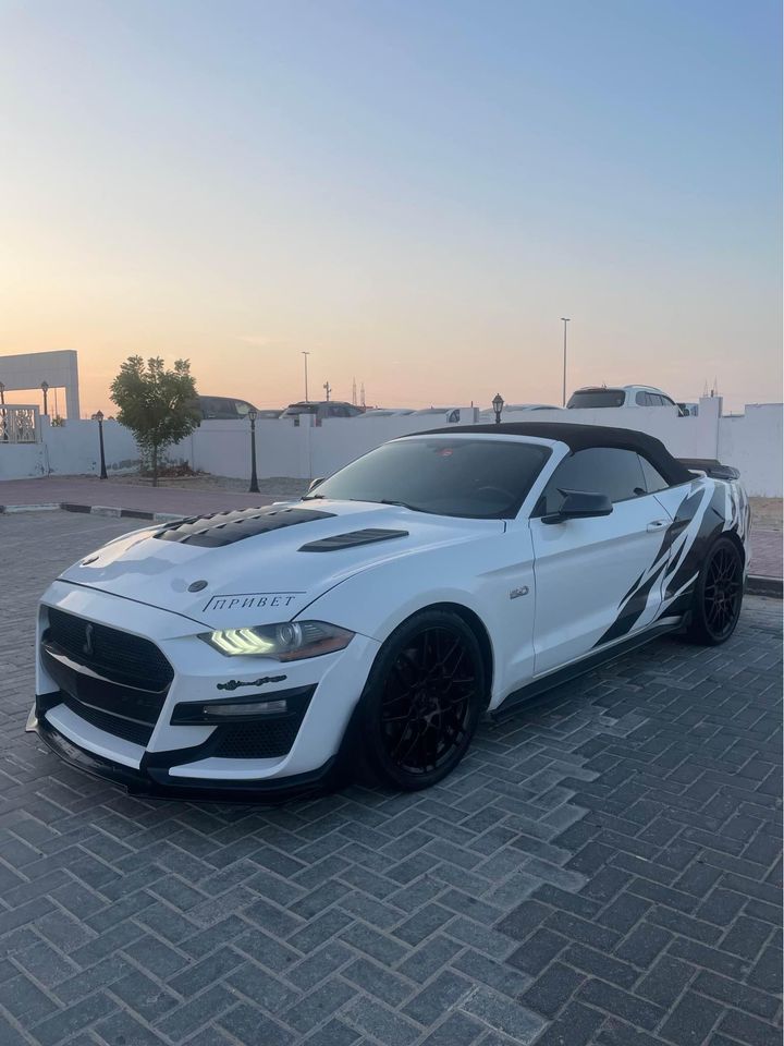 2019 Ford Mustang