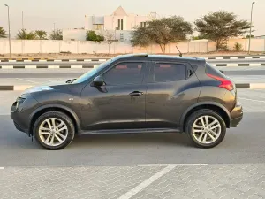 2013 Nissan Juke