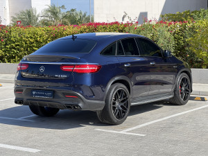 2017 Mercedes-Benz GLE