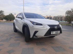 2019 Lexus NX in dubai