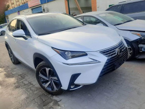 2019 Lexus NX