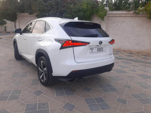 2019 Lexus NX