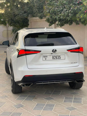 2019 Lexus NX