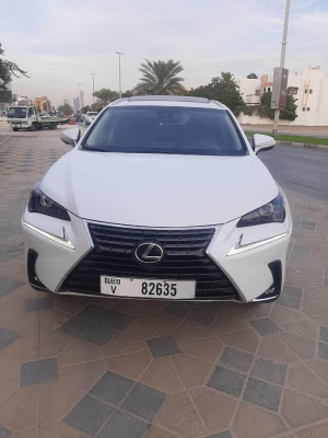 2019 Lexus NX