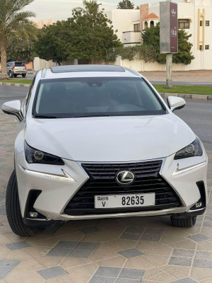 2019 Lexus NX