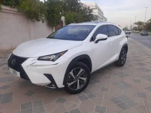 2019 Lexus NX