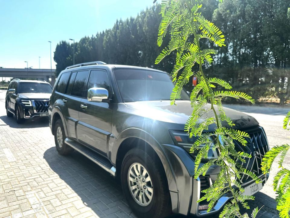 2013 Mitsubishi Pajero