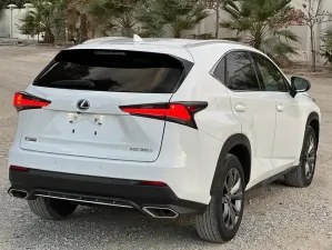 2020 Lexus NX