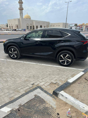 2019 Lexus NX