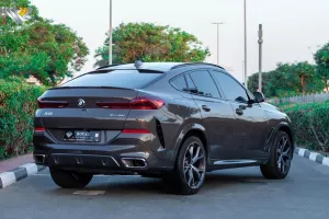 2022 BMW X6