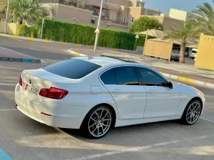 2011 BMW 5-Series