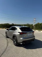 2019 Lexus NX