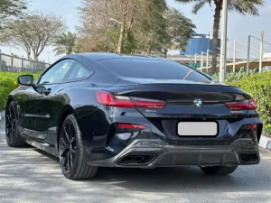 2019 BMW 8-Series