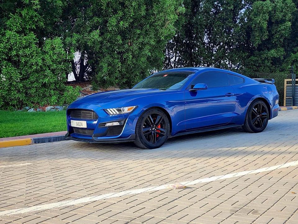 2017 Ford Mustang V4 w/Shelby kit