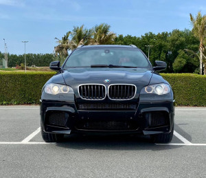 2012 BMW X6