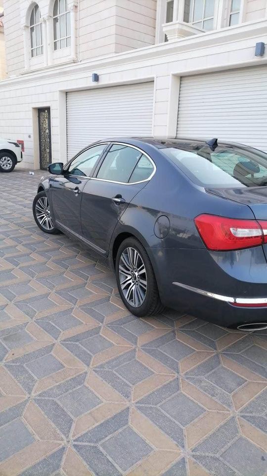 2014 Kia Cadenza