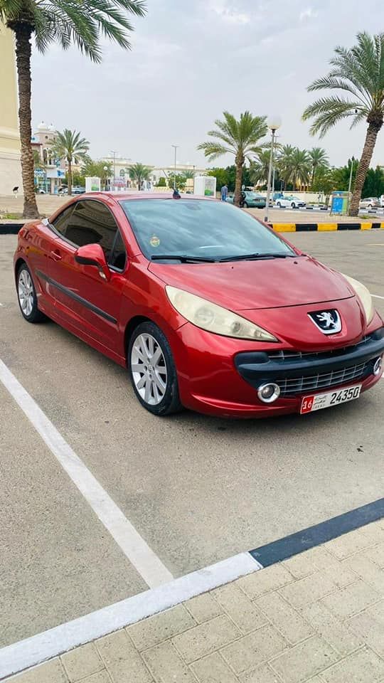 2008 Peugeot 207