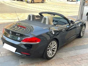 2010 BMW Z4