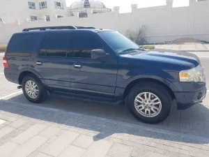 2013 Ford Expedition