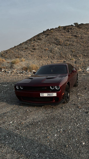 2019 Dodge Challenger