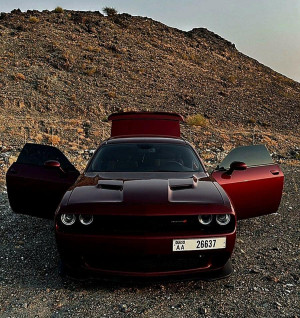 2019 Dodge Challenger