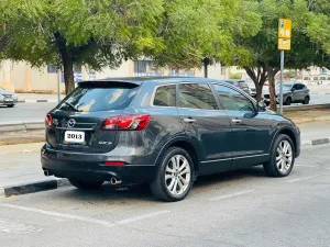 2013 Mazda CX-9