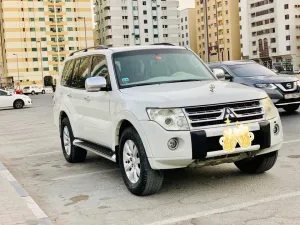 2010 Mitsubishi Pajero