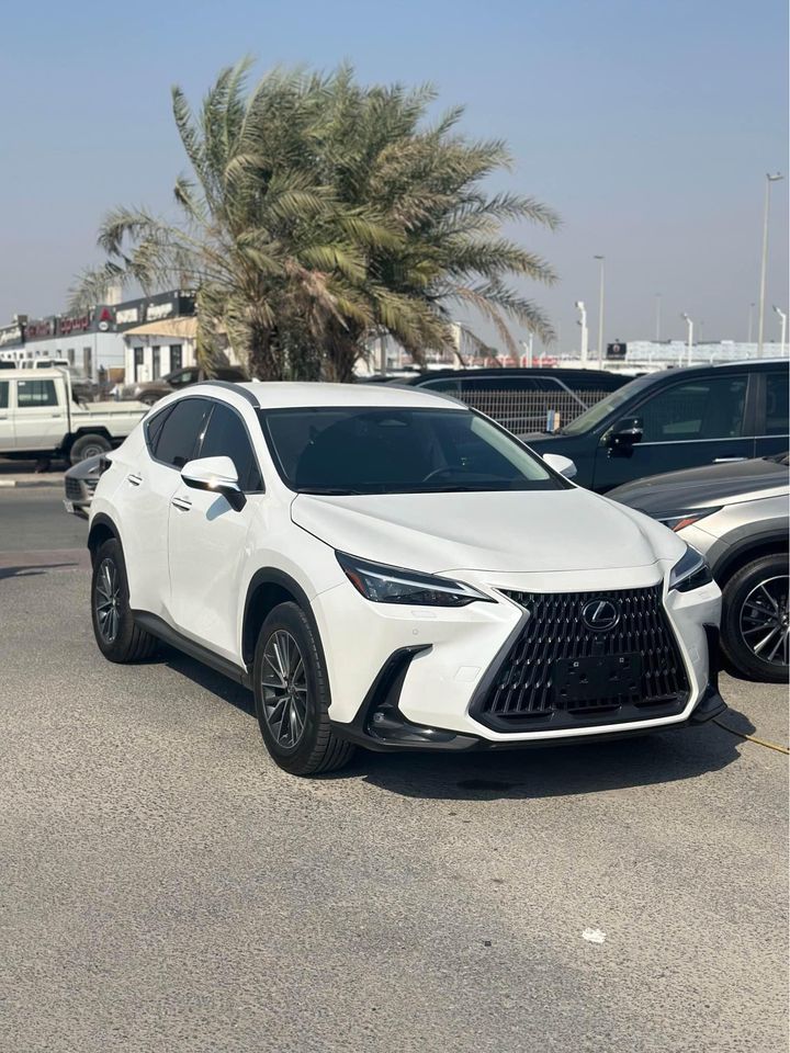 2022 Lexus NX in dubai