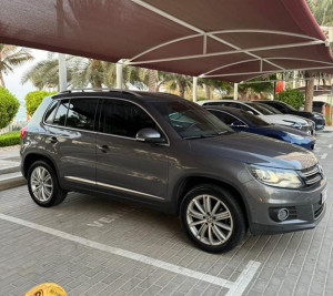 2013 Volkswagen Tiguan