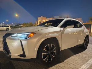 2024 Lexus UX