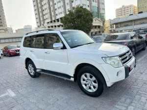 2010 Mitsubishi Pajero