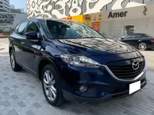 2013 Mazda CX-9