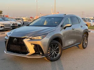 2024 Lexus NX in dubai