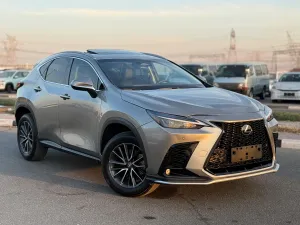 2024 Lexus NX