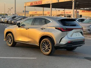 2024 Lexus NX