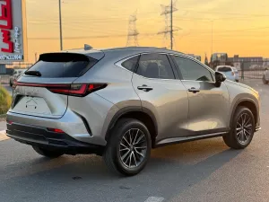 2024 Lexus NX