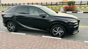 2023 Lexus RX 350