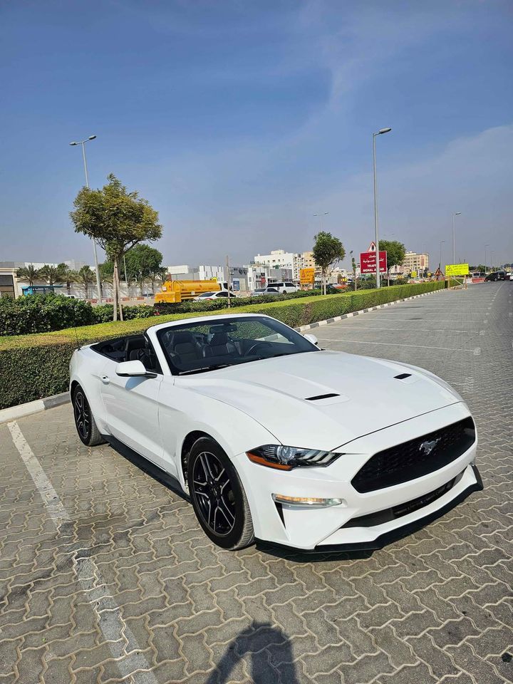 2019 Ford Mustang in dubai