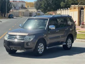 2010 Mitsubishi Pajero