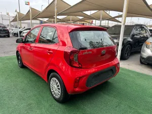 2019 Kia Picanto