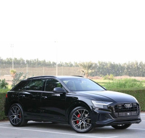 2019 Audi Q8