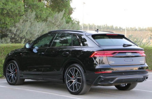 2019 Audi Q8