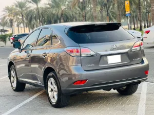 2013 Lexus RX 300