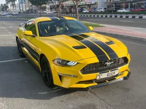 2019 Ford Mustang