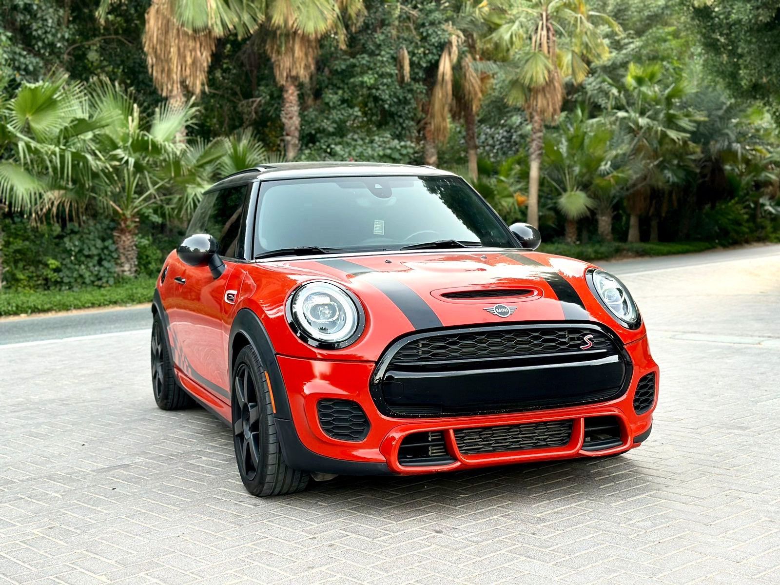 2019 Mini Paceman